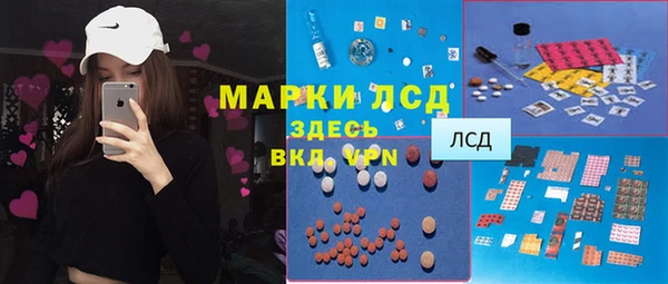 стаф Вяземский