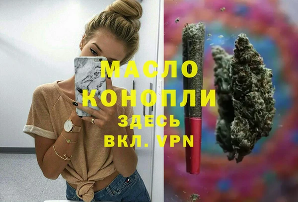 стаф Вяземский