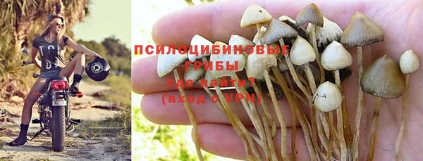 прущая мука Сосновоборск