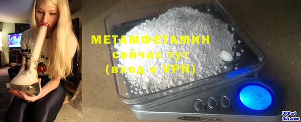 ПСИЛОЦИБИНОВЫЕ ГРИБЫ Сосновый Бор